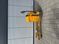 Detailed view of Jungheinrich EJE 225 &mdash; Booster Lift