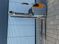 Detailn&aacute; fotografia Still EXV 12i &mdash; Booster Lift