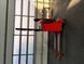 Detailn&aacute; fotografia Linde T 16 &mdash; Booster Lift