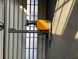 Detailn&aacute; fotografia Jungheinrich ETV 214 &mdash; Booster Lift
